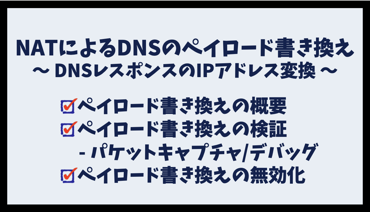 NATによるDNSのペイロード書き換え | DNSレスポンスのIPアドレス変換